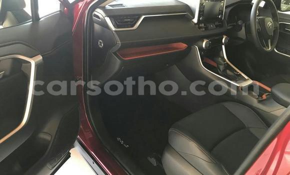 Sayi Na hannu Toyota RAV4 Red Mota in Mafeteng a Mafeteng Sayi Na hannu Toyota RAV4 Red Mota in Mafeteng a Mafeteng