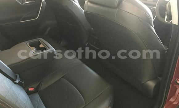 Sayi Na hannu Toyota RAV4 Red Mota in Mafeteng a Mafeteng Sayi Na hannu Toyota RAV4 Red Mota in Mafeteng a Mafeteng
