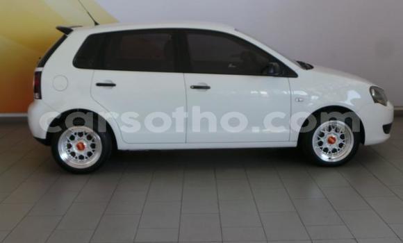 اشتري مستعمل Volkswagen Polo White سيارة في Maseru في Maseru اشتري مستعمل Volkswagen Polo White سيارة في Maseru في Maseru