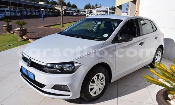 اشتري مستعمل Volkswagen Polo White سيارة في Hlotse في Leribe اشتري مستعمل Volkswagen Polo White سيارة في Hlotse في Leribe