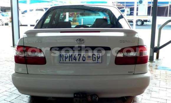 Sayi Na hannu Toyota Corolla White Mota in Butha–Buthe a Thaba-Tseka Sayi Na hannu Toyota Corolla White Mota in Butha–Buthe a Thaba-Tseka