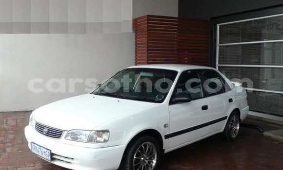 Sayi Na hannu Toyota Corolla White Mota in Butha–Buthe a Thaba-Tseka Sayi Na hannu Toyota Corolla White Mota in Butha–Buthe a Thaba-Tseka