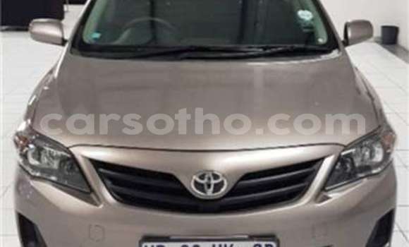 اشتري مستعمل Toyota Corolla Brown سيارة في Butha Buthe في Butha-Buthe اشتري مستعمل Toyota Corolla Brown سيارة في Butha Buthe في Butha-Buthe