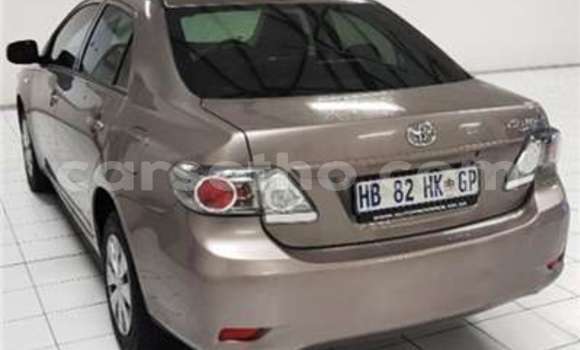 اشتري مستعمل Toyota Corolla Brown سيارة في Butha Buthe في Butha-Buthe اشتري مستعمل Toyota Corolla Brown سيارة في Butha Buthe في Butha-Buthe
