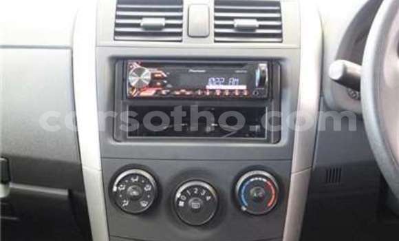 اشتري مستعمل Toyota Corolla Brown سيارة في Butha Buthe في Butha-Buthe اشتري مستعمل Toyota Corolla Brown سيارة في Butha Buthe في Butha-Buthe