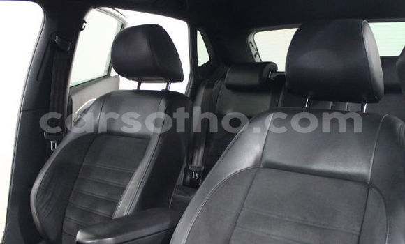 Buy Used Volkswagen Polo Green Car in Maputsoa in Leribe Buy Used Volkswagen Polo Green Car in Maputsoa in Leribe