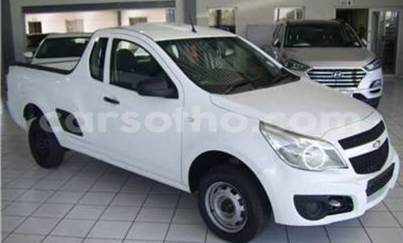 اشتري مستعمل Chevrolet Vivant White سيارة في Butha Buthe في Butha-Buthe اشتري مستعمل Chevrolet Vivant White سيارة في Butha Buthe في Butha-Buthe