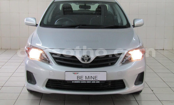 Buy Used Toyota Corolla Red Car in Maseru in Maseru Buy Used Toyota Corolla Red Car in Maseru in Maseru