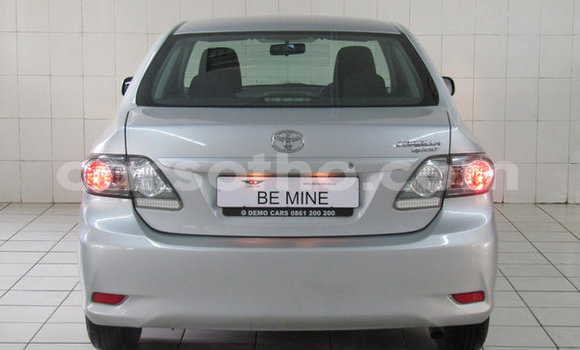 Buy Used Toyota Corolla Red Car in Maseru in Maseru Buy Used Toyota Corolla Red Car in Maseru in Maseru
