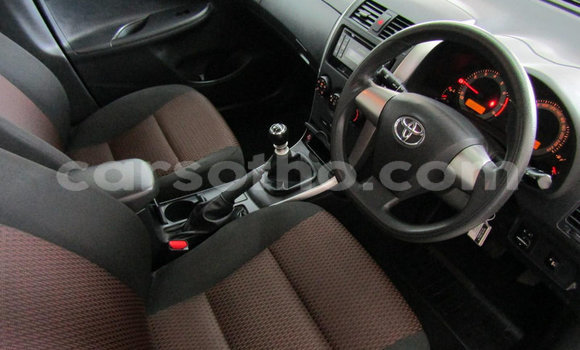 Buy Used Toyota Corolla Red Car in Maseru in Maseru Buy Used Toyota Corolla Red Car in Maseru in Maseru