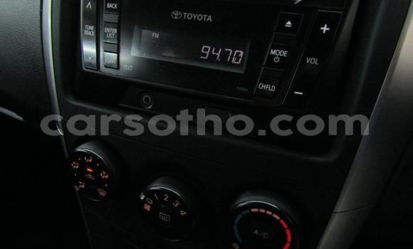 Buy Used Toyota Corolla Red Car in Maseru in Maseru Buy Used Toyota Corolla Red Car in Maseru in Maseru