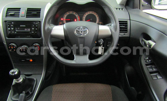 Buy Used Toyota Corolla Red Car in Maseru in Maseru Buy Used Toyota Corolla Red Car in Maseru in Maseru