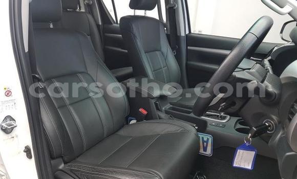 اشتري مستعمل Volkswagen Golf R Blue سيارة في Mafeteng في Mafeteng اشتري مستعمل Volkswagen Golf R Blue سيارة في Mafeteng في Mafeteng