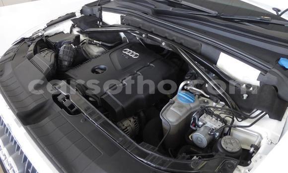 Acheter Occasion Voiture Audi Q5 Blanc à Butha Buthe, Butha-Buthe Acheter Occasion Voiture Audi Q5 Blanc à Butha Buthe, Butha-Buthe