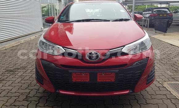 اشتري مستعمل Toyota Yaris Red سيارة في Maseru في Maseru اشتري مستعمل Toyota Yaris Red سيارة في Maseru في Maseru