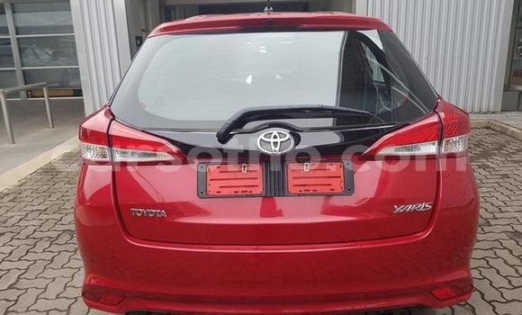 اشتري مستعمل Toyota Yaris Red سيارة في Maseru في Maseru اشتري مستعمل Toyota Yaris Red سيارة في Maseru في Maseru