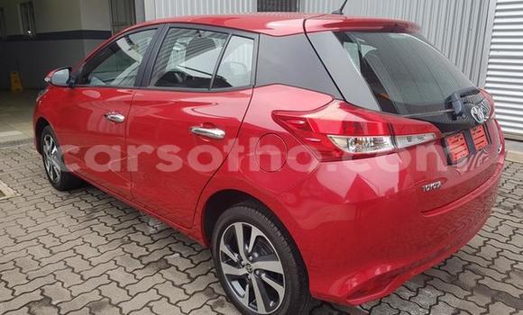 اشتري مستعمل Toyota Yaris Red سيارة في Maseru في Maseru اشتري مستعمل Toyota Yaris Red سيارة في Maseru في Maseru
