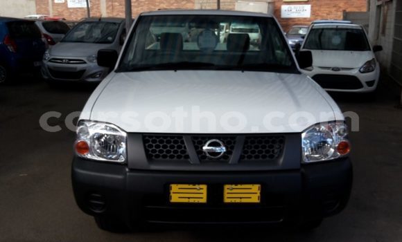 Buy Used Nissan Hardbody White Car in Maseru in Maseru Buy Used Nissan Hardbody White Car in Maseru in Maseru