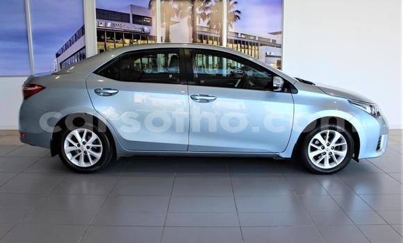 اشتري مستعمل Toyota Corolla Blue سيارة في Maseru في Maseru اشتري مستعمل Toyota Corolla Blue سيارة في Maseru في Maseru