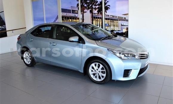 اشتري مستعمل Toyota Corolla Blue سيارة في Maseru في Maseru اشتري مستعمل Toyota Corolla Blue سيارة في Maseru في Maseru