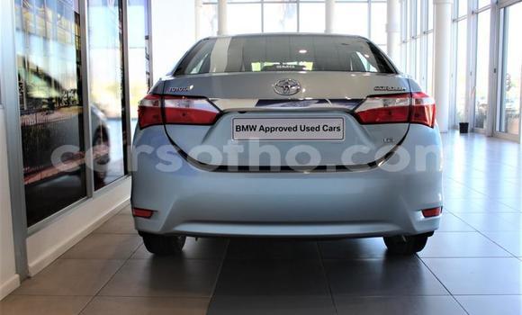 اشتري مستعمل Toyota Corolla Blue سيارة في Maseru في Maseru اشتري مستعمل Toyota Corolla Blue سيارة في Maseru في Maseru