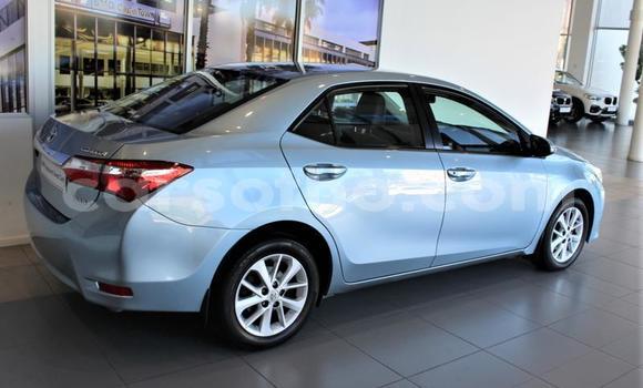 اشتري مستعمل Toyota Corolla Blue سيارة في Maseru في Maseru اشتري مستعمل Toyota Corolla Blue سيارة في Maseru في Maseru