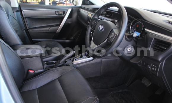 اشتري مستعمل Toyota Corolla Blue سيارة في Maseru في Maseru اشتري مستعمل Toyota Corolla Blue سيارة في Maseru في Maseru