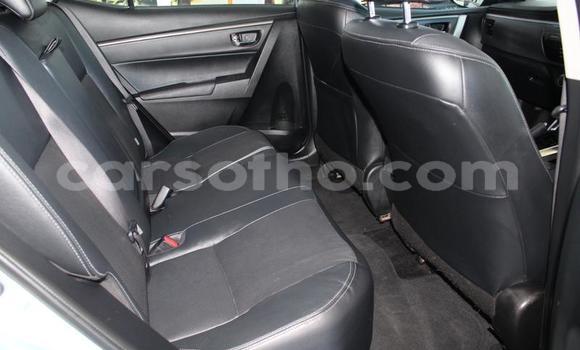 اشتري مستعمل Toyota Corolla Blue سيارة في Maseru في Maseru اشتري مستعمل Toyota Corolla Blue سيارة في Maseru في Maseru