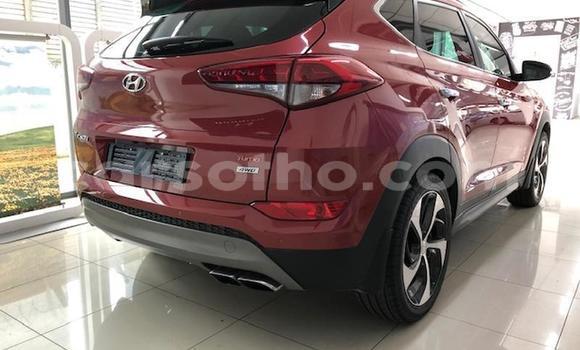 Sayi Na hannu Haval H2 Red Mota in Maseru a Maseru Sayi Na hannu Haval H2 Red Mota in Maseru a Maseru