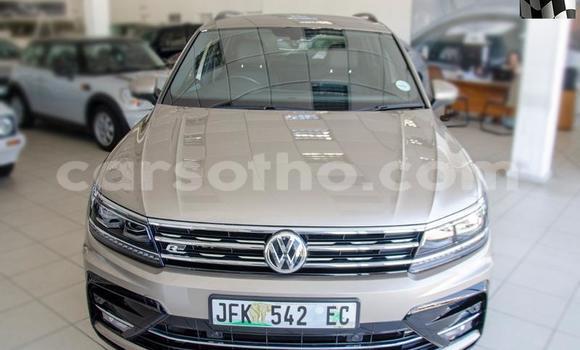 اشتري مستعمل Volkswagen Tiguan Beige سيارة في Maseru في Maseru اشتري مستعمل Volkswagen Tiguan Beige سيارة في Maseru في Maseru