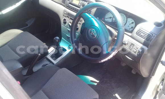 Buy Used Toyota Runx Silver Car in Maseru in Maseru Buy Used Toyota Runx Silver Car in Maseru in Maseru