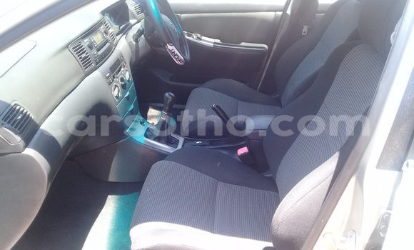 Buy Used Toyota Runx Silver Car in Maseru in Maseru Buy Used Toyota Runx Silver Car in Maseru in Maseru