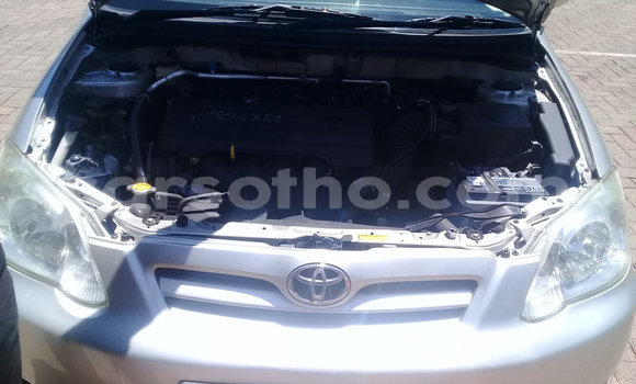 Buy Used Toyota Runx Silver Car in Maseru in Maseru Buy Used Toyota Runx Silver Car in Maseru in Maseru