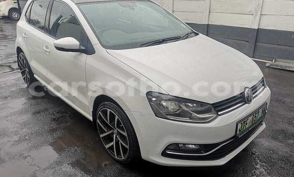 Buy Used Volkswagen Polo White Car in Maseru in Maseru Buy Used Volkswagen Polo White Car in Maseru in Maseru