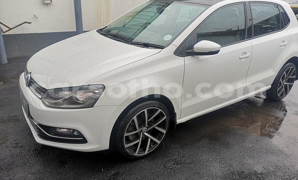 Buy Used Volkswagen Polo White Car in Maseru in Maseru Buy Used Volkswagen Polo White Car in Maseru in Maseru