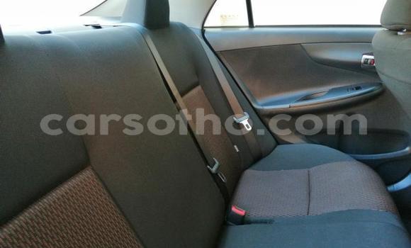 Sayi Na hannu Toyota Corolla White Mota in Maseru a Maseru Sayi Na hannu Toyota Corolla White Mota in Maseru a Maseru