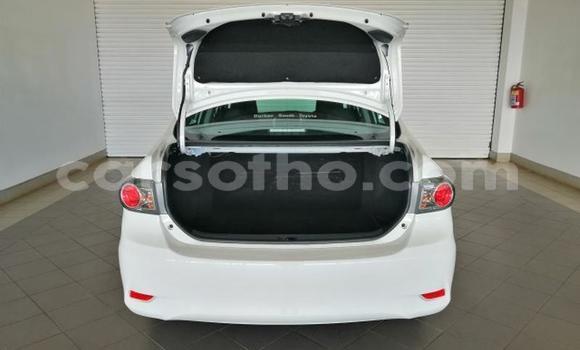 Sayi Na hannu Toyota Corolla White Mota in Maseru a Maseru Sayi Na hannu Toyota Corolla White Mota in Maseru a Maseru