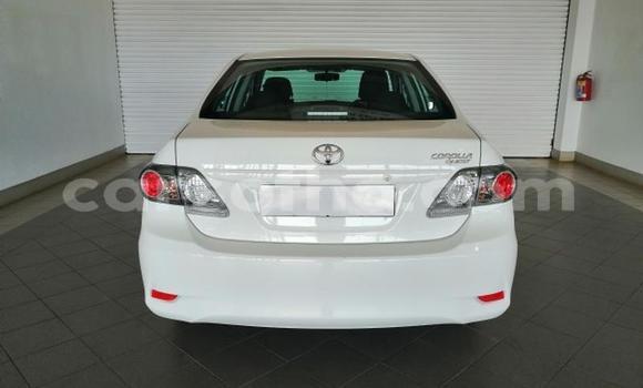 Sayi Na hannu Toyota Corolla White Mota in Maseru a Maseru Sayi Na hannu Toyota Corolla White Mota in Maseru a Maseru