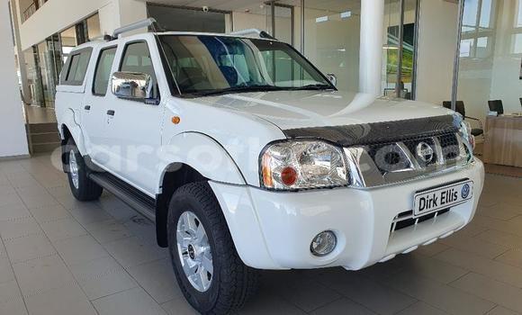 Buy Used Nissan Hardbody White Car in Hlotse in Leribe Buy Used Nissan Hardbody White Car in Hlotse in Leribe