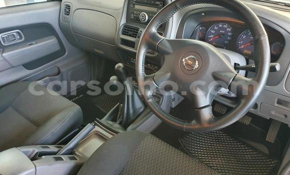 Buy Used Nissan Hardbody White Car in Hlotse in Leribe Buy Used Nissan Hardbody White Car in Hlotse in Leribe