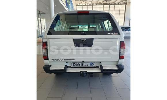 Buy Used Nissan Hardbody White Car in Hlotse in Leribe Buy Used Nissan Hardbody White Car in Hlotse in Leribe