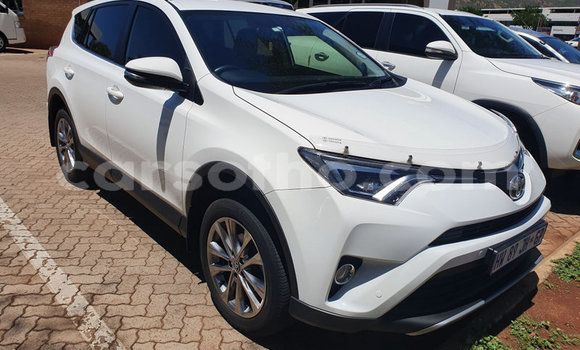 Sayi Na hannu Toyota RAV4 White Mota in Butha–Buthe a Thaba-Tseka Sayi Na hannu Toyota RAV4 White Mota in Butha–Buthe a Thaba-Tseka