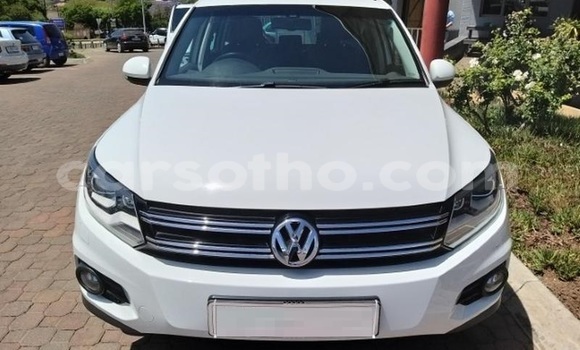 Sayi Na hannu Volkswagen Tiguan White Mota in Hlotse a Leribe Sayi Na hannu Volkswagen Tiguan White Mota in Hlotse a Leribe