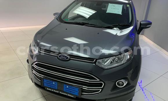Sayi Na hannu Ford EcoSport Silver Mota in Maputsoa a Leribe Sayi Na hannu Ford EcoSport Silver Mota in Maputsoa a Leribe