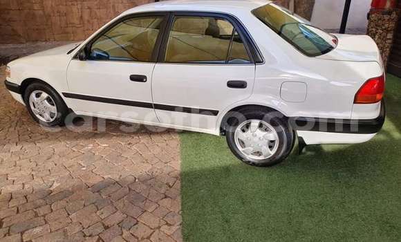Sayi Na hannu Toyota Corolla White Mota in Maseru a Maseru Sayi Na hannu Toyota Corolla White Mota in Maseru a Maseru