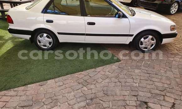 Sayi Na hannu Toyota Corolla White Mota in Maseru a Maseru Sayi Na hannu Toyota Corolla White Mota in Maseru a Maseru