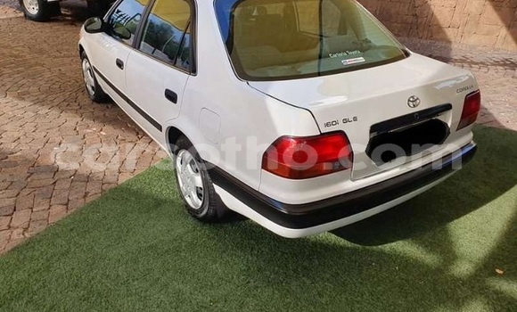 Sayi Na hannu Toyota Corolla White Mota in Maseru a Maseru Sayi Na hannu Toyota Corolla White Mota in Maseru a Maseru