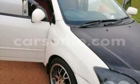 Sayi Na hannu Toyota Runx White Mota in Maseru a Maseru Sayi Na hannu Toyota Runx White Mota in Maseru a Maseru