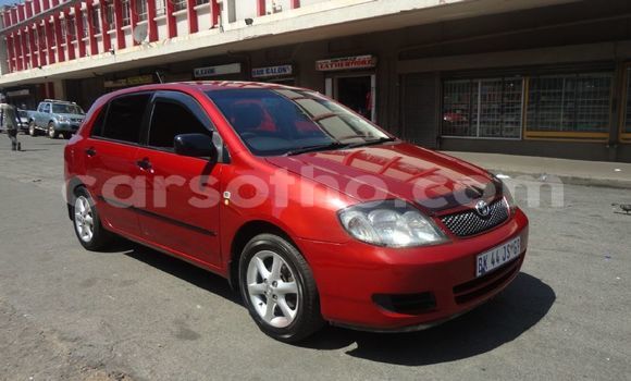 Sayi Na hannu Toyota Runx Red Mota in Maseru a Maseru Sayi Na hannu Toyota Runx Red Mota in Maseru a Maseru