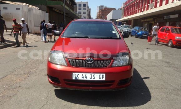 Sayi Na hannu Toyota Runx Red Mota in Maseru a Maseru Sayi Na hannu Toyota Runx Red Mota in Maseru a Maseru